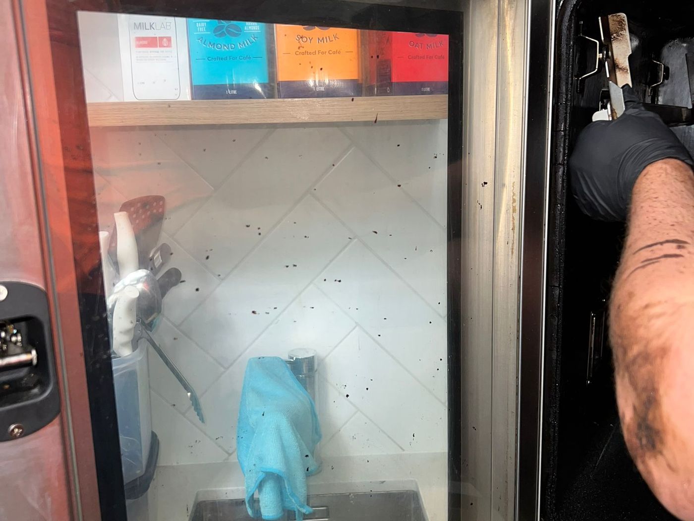 Combi oven spotless after deep clean